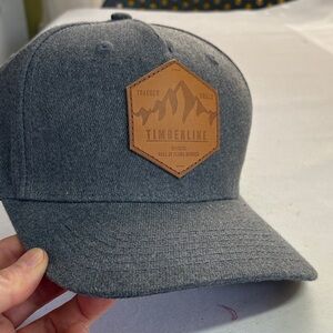 Traeger Timberline Hall of Flame Gray Poly SnapBack Hat OS